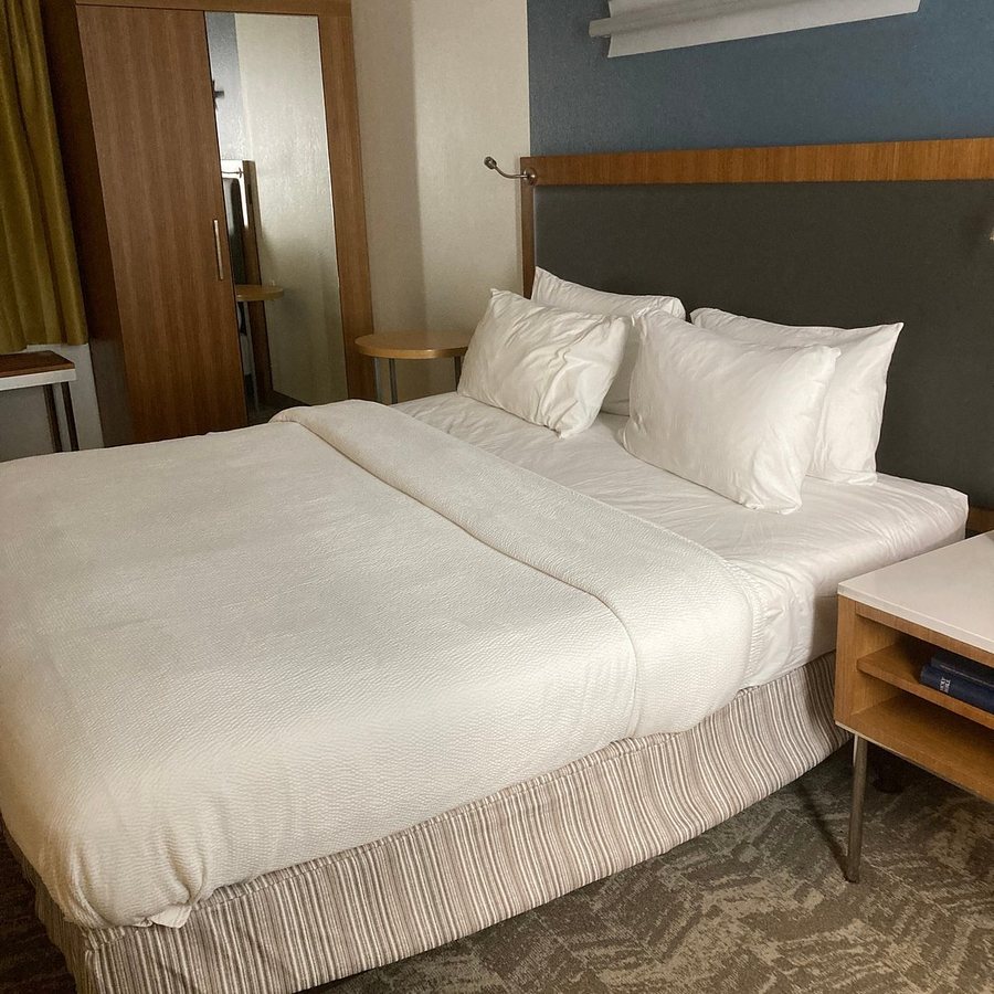 SpringHill Suites by Marriott Columbia Downtown The Vista — Guest room