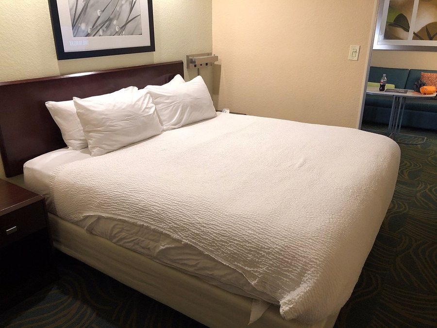 SpringHill Suites by Marriott Fort Myers Airport — Guest room