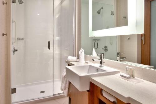 SpringHill Suites by Marriott Houston Downtown Convention Center — Bathroom