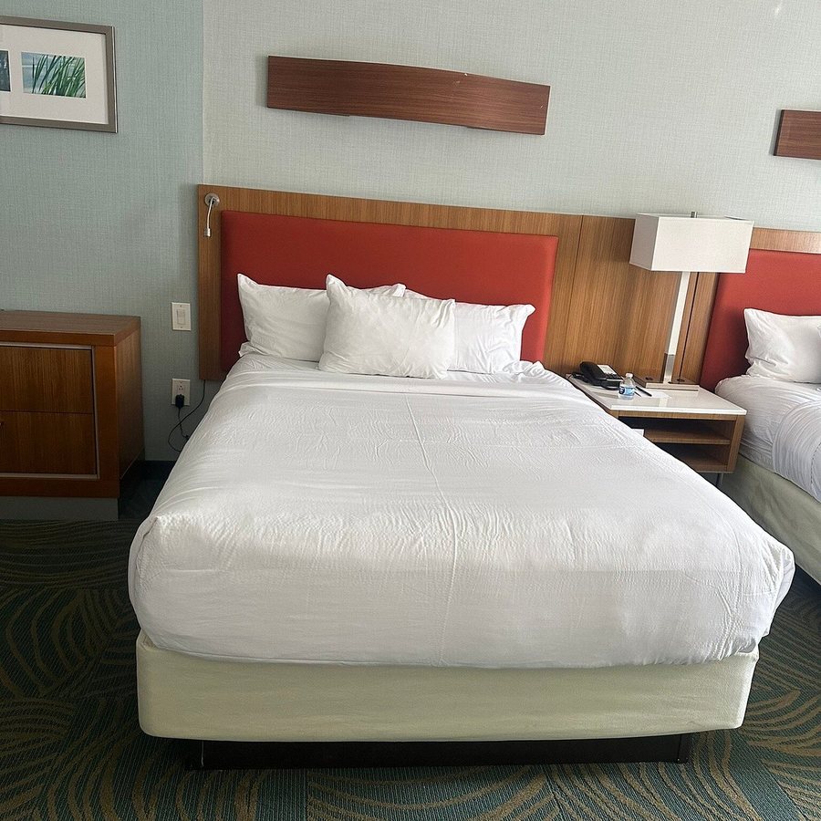SpringHill Suites by Marriott Houston Downtown Convention Center — Guest room