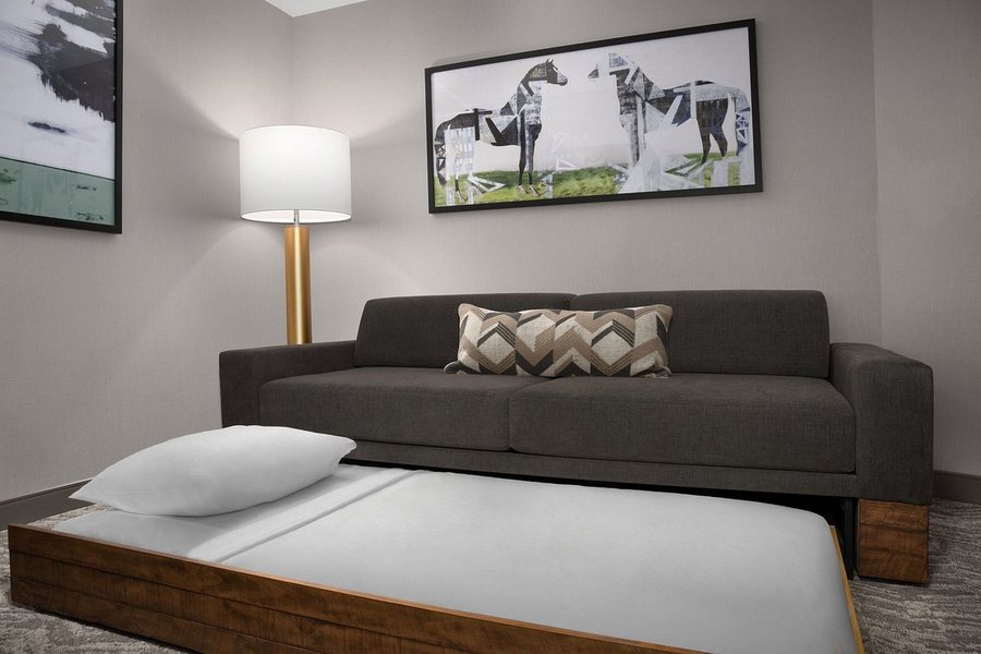 SpringHill Suites by Marriott Lexington Fritz Farm — Guest room