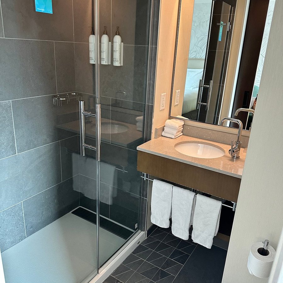 SpringHill Suites by Marriott New York Manhattan Chelsea New York City New York — Bathroom