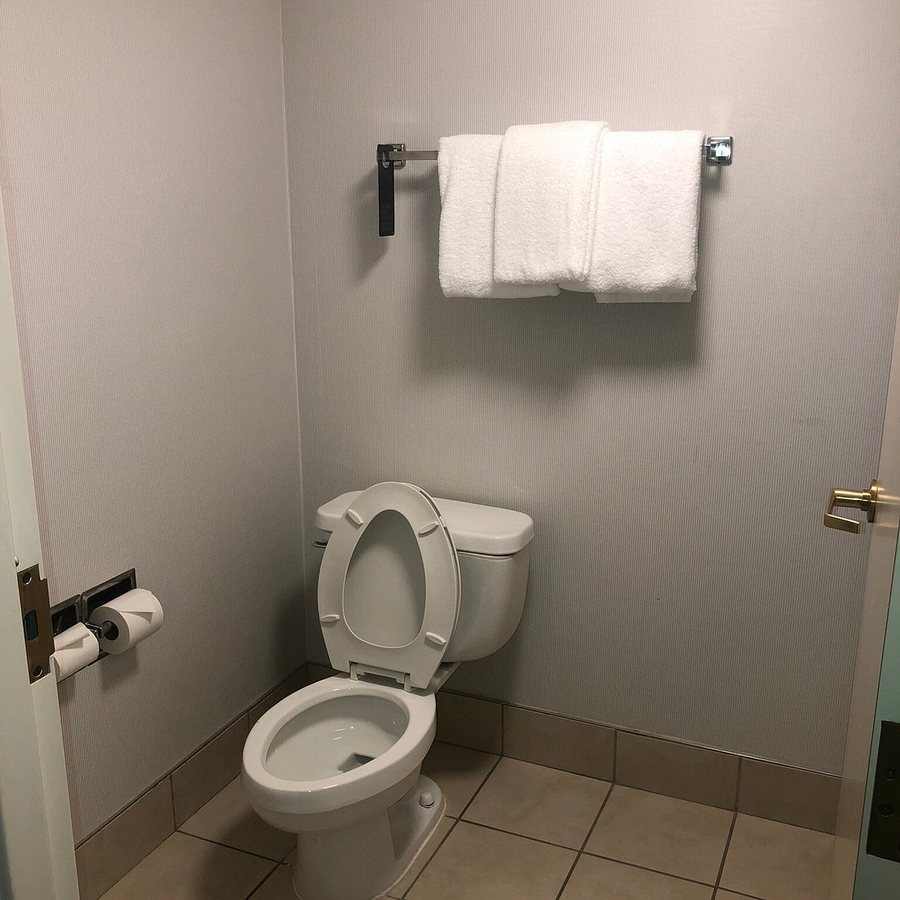 SpringHill Suites by Marriott St Louis Airport Earth City — Bathroom