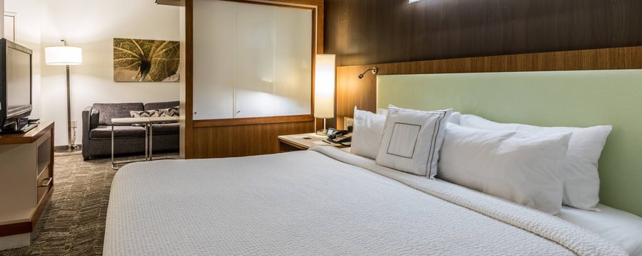 SpringHill Suites by Marriott Statesboro University Area — Guest room