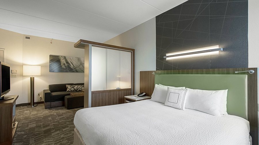 SpringHill Suites by Marriott Tampa Brandon — Guest room