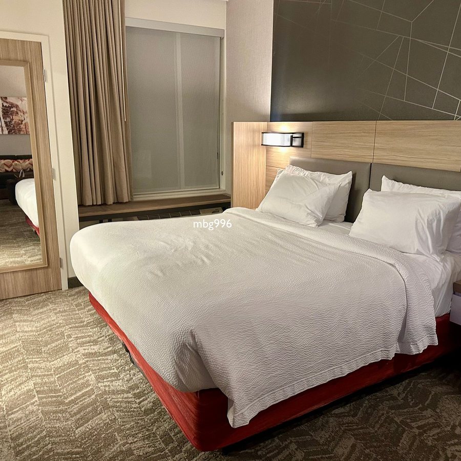 Springhill Suites Kansas City Northeast — Guest room