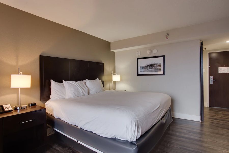 Springs Lodge Cafe — Guest room