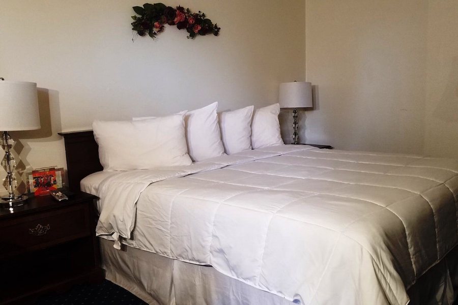 Stanford Motor Inn — Guest room