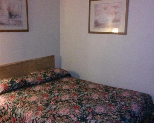 Star Motel — Guest room