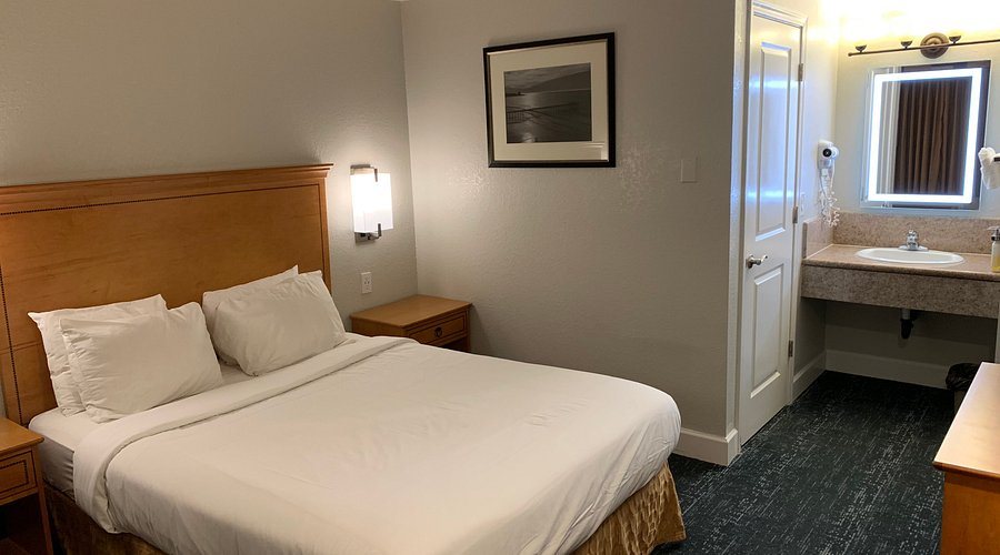 Stargazer Hotel — Guest room