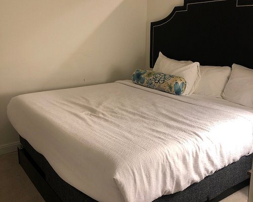 Stay Alfred at the Republic — Guest room