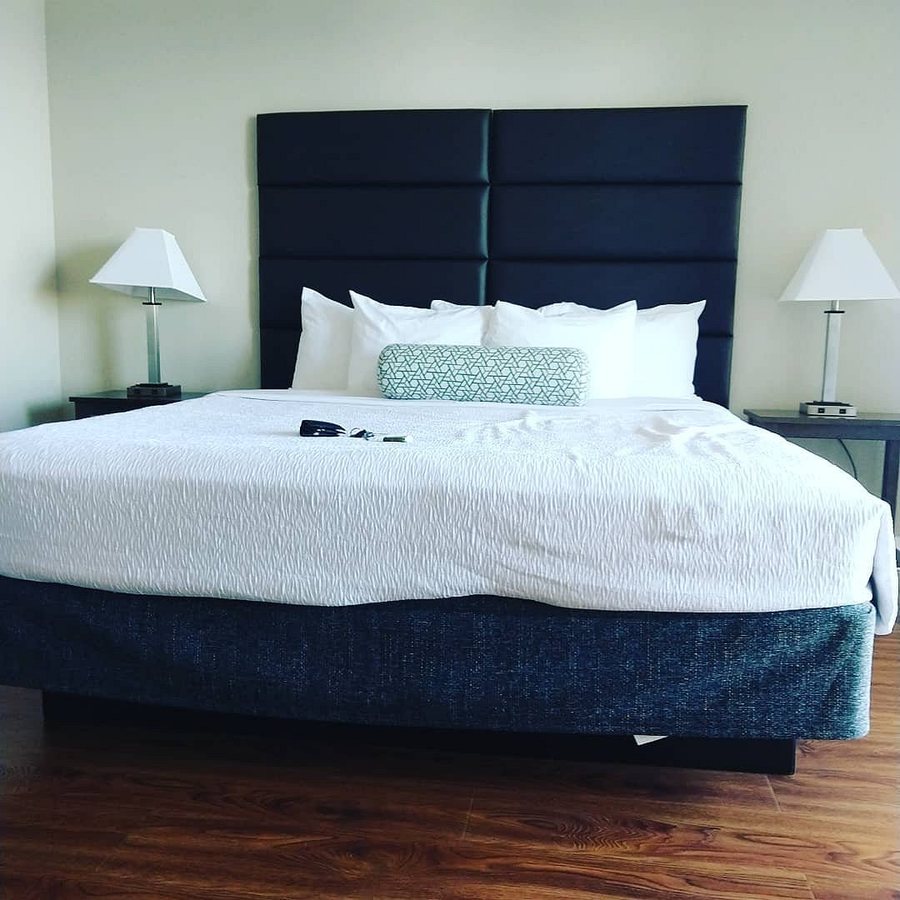 Stay Alfred on Fannin Street — Guest room