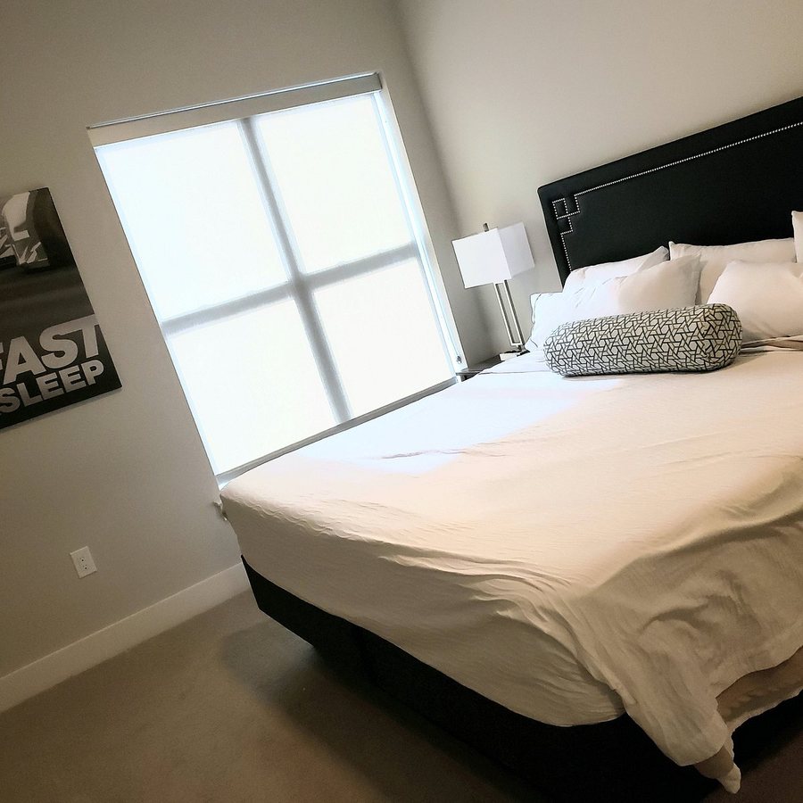Stay Alfred on Graham Street — Guest room