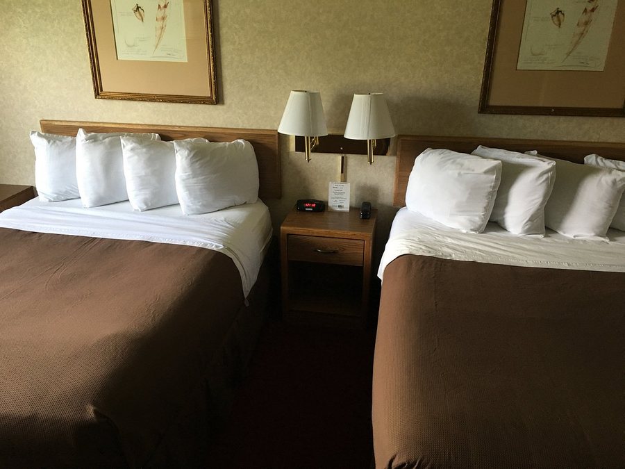 Stay Wise Inn Cedaredge — Guest room
