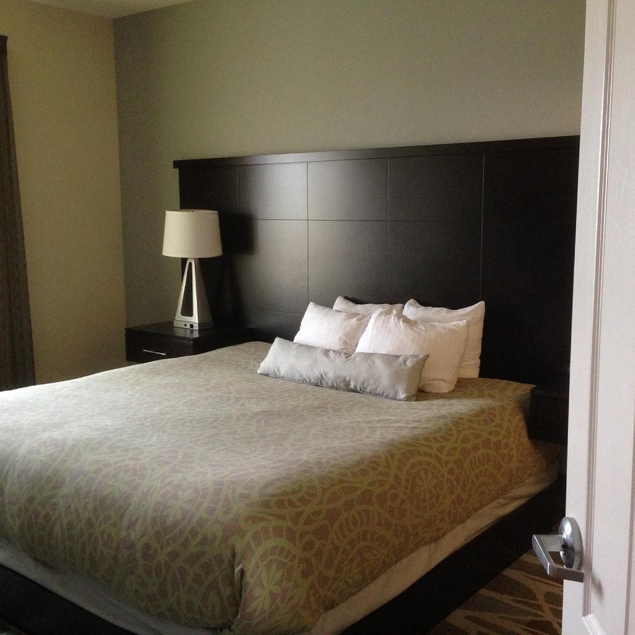 Staybridge Suites Amarillo Western Crossing by IHG — Guest room