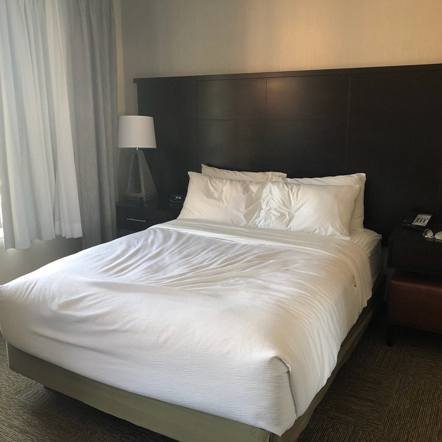 Staybridge Suites Benton Harbor St Joseph by IHG — Guest room