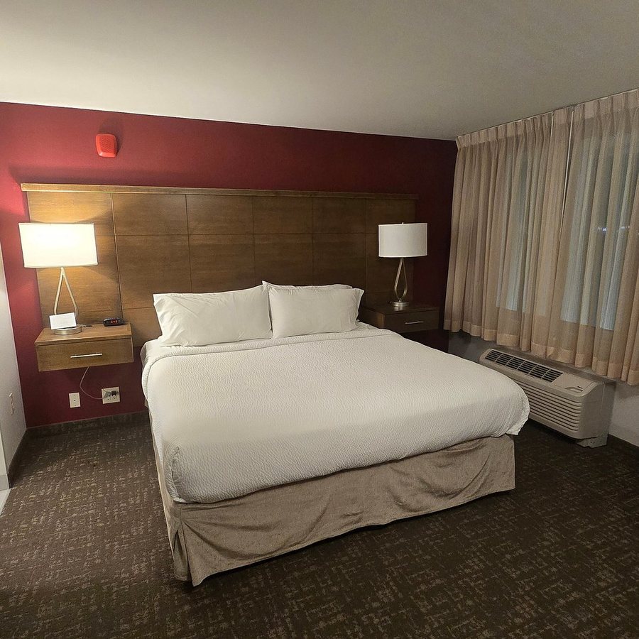 Staybridge Suites Rapid City Rushmore by IHG — Guest room
