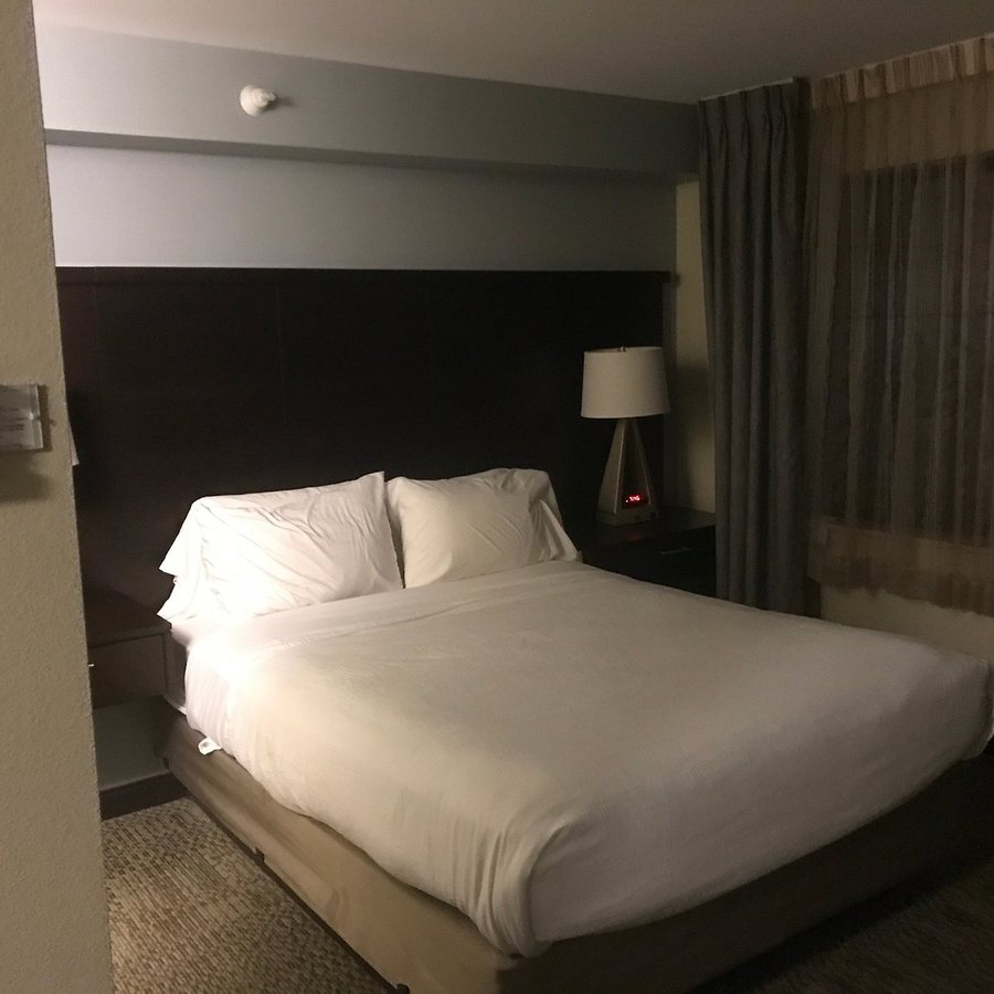 Staybridge Suites Rochester Commerce Dr NW by IHG — Guest room