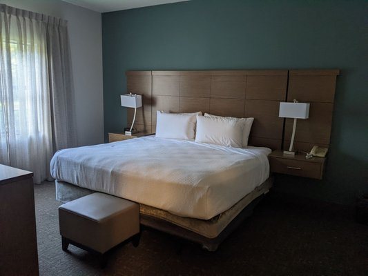 Staybridge Suites Tampa East Brandon By IHG — Guest room