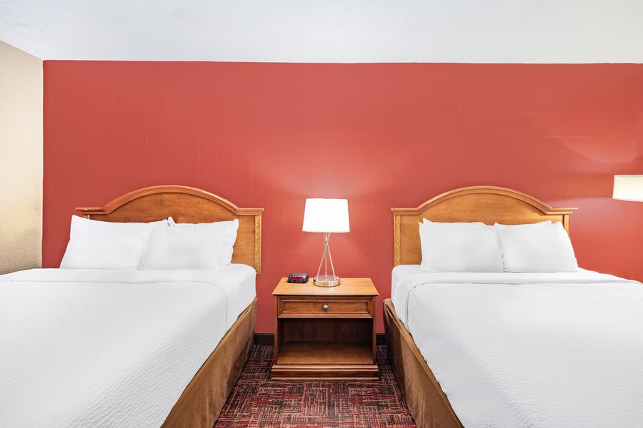 StayInn — Guest room