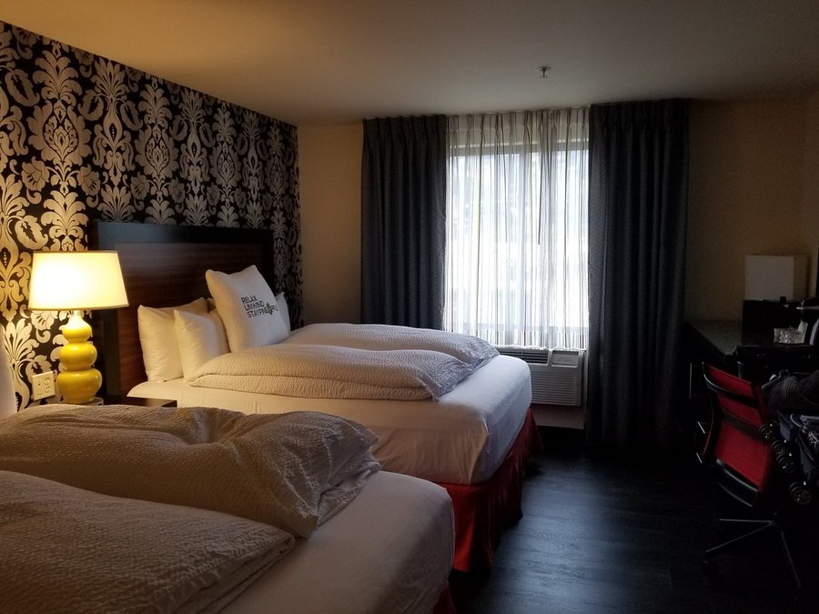 Staypineapple The Maxwell Hotel Seattle Center Seattle Washington — Guest room