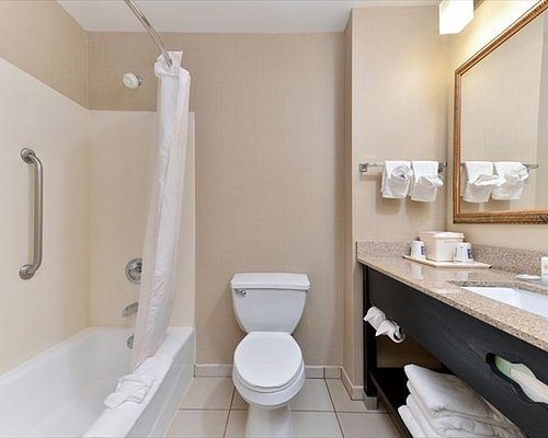 Stone Mountain Manor — Bathroom