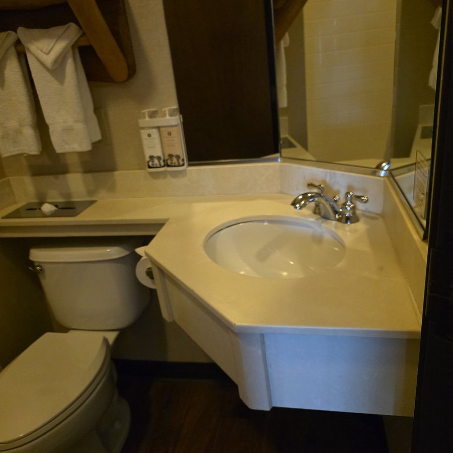 Stoney Creek Hotel Quad Cities Moline — Bathroom