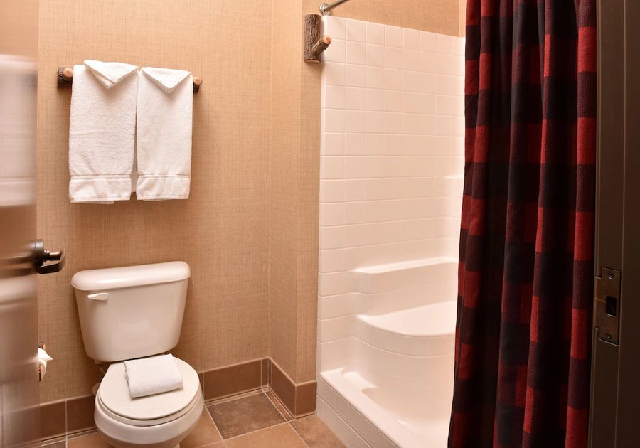 Stoney Creek Hotel Sioux City — Bathroom