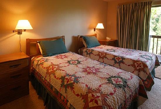 Storm Meadows Townhomes — Guest room
