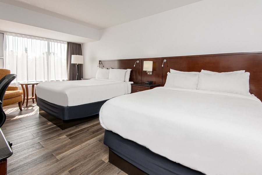 Strata Hotel — Guest room