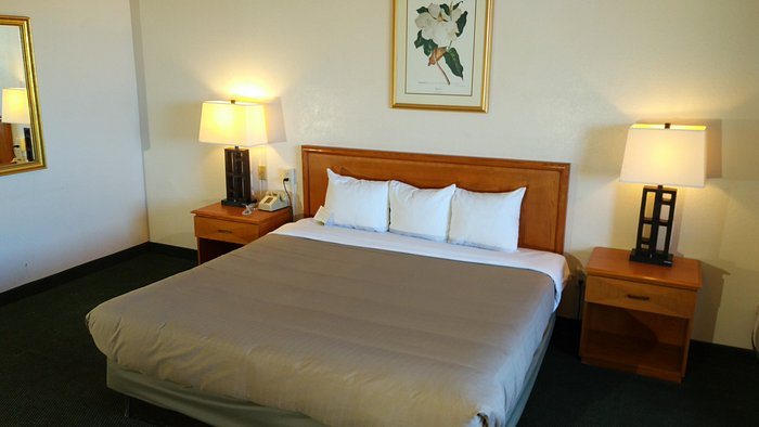 Studio 6 Suites Lake Havasu City AZ — Guest room