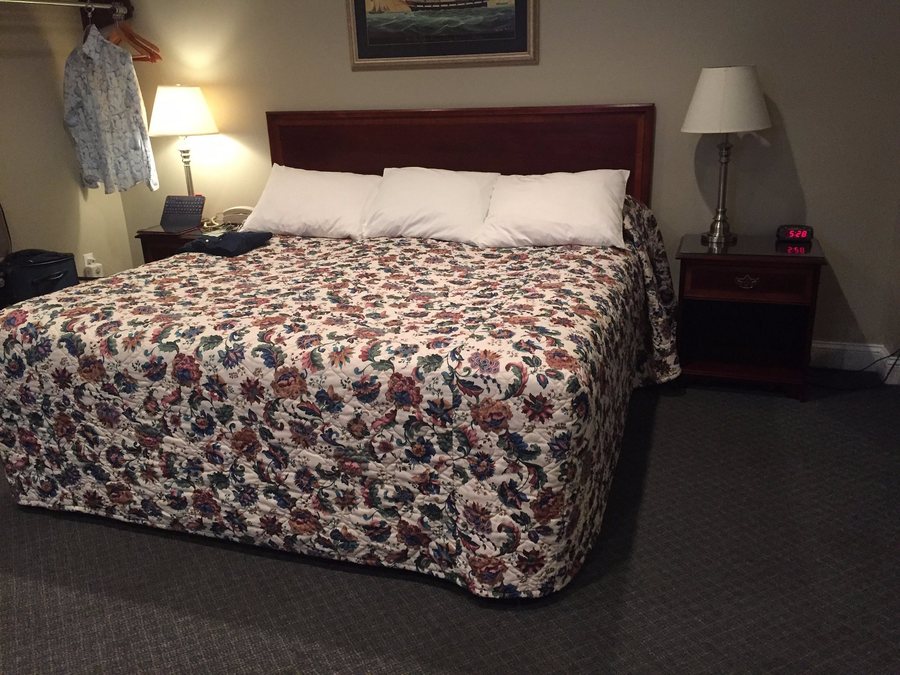 Studio East Motel — Guest room