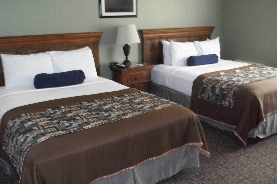 Sun Outdoors Yellowstone North — Guest room