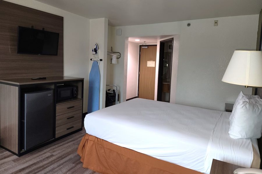 Super 8 by Wyndham Austin Airport North — Guest room