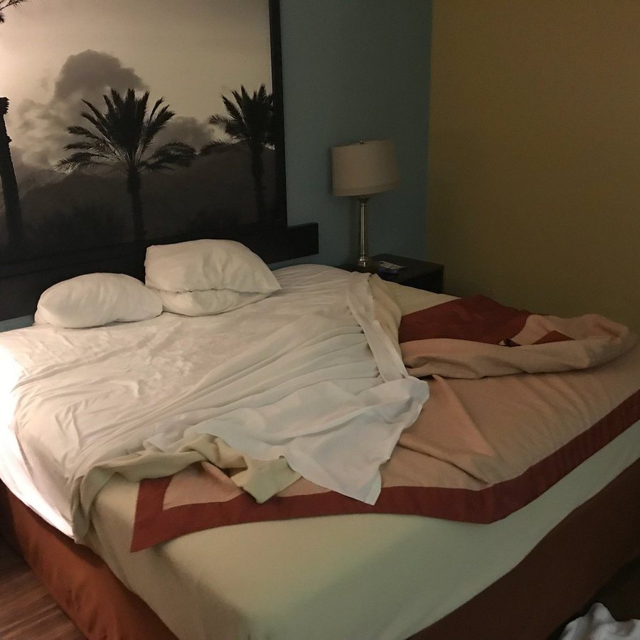 Super 8 by Wyndham Canoga Park Los Angeles California — Guest room