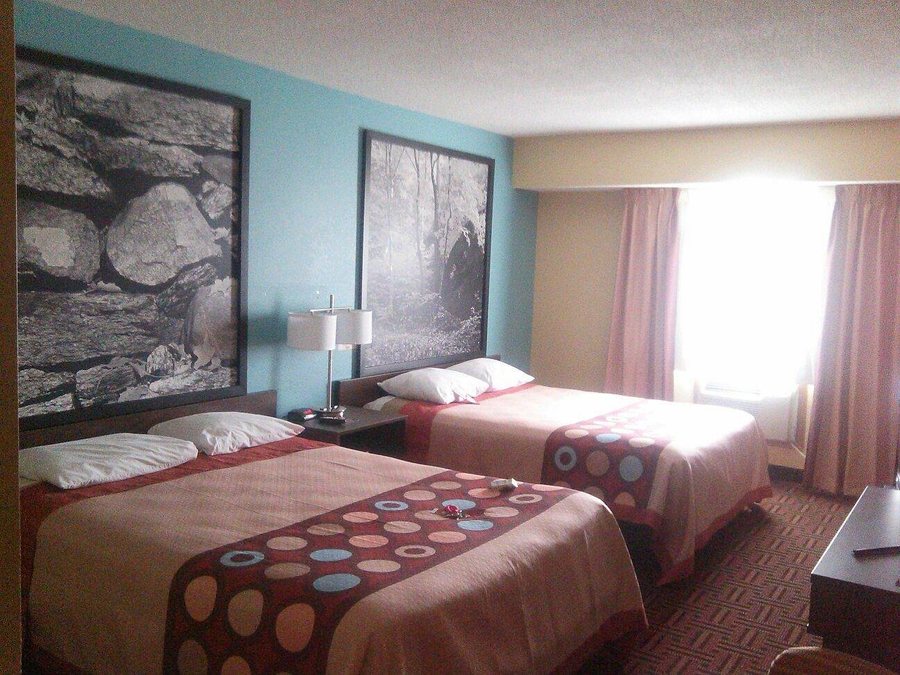 Super 8 by Wyndham Carbondale — Guest room