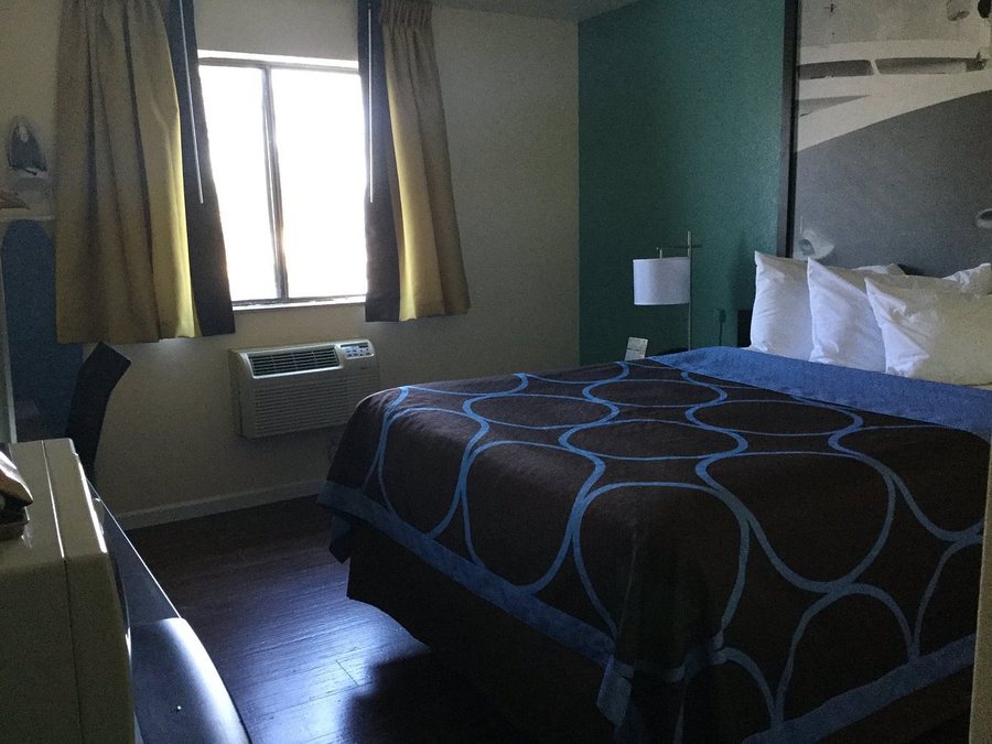 Super 8 by Wyndham Clearwater St Petersburg Airport — Guest room