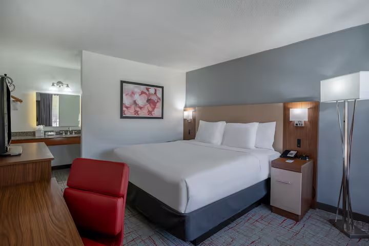 Super 8 by Wyndham Columbia Ft Jackson SC — Guest room