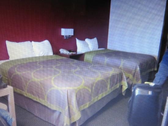 Super 8 by Wyndham Flagstaff I 40 Ex 198 Lucky Lane — Guest room