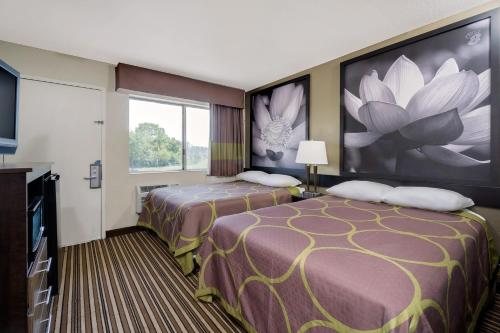 Super 8 by Wyndham Florence — Guest room