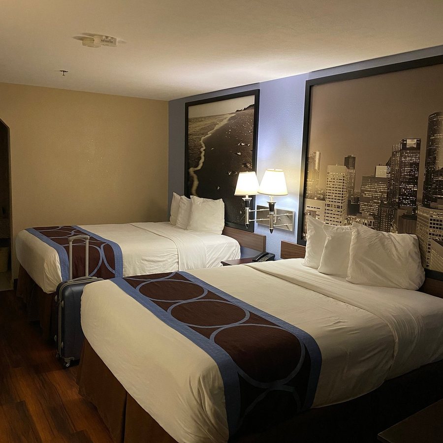 Super 8 by Wyndham Houston I 10 Federal Road — Guest room