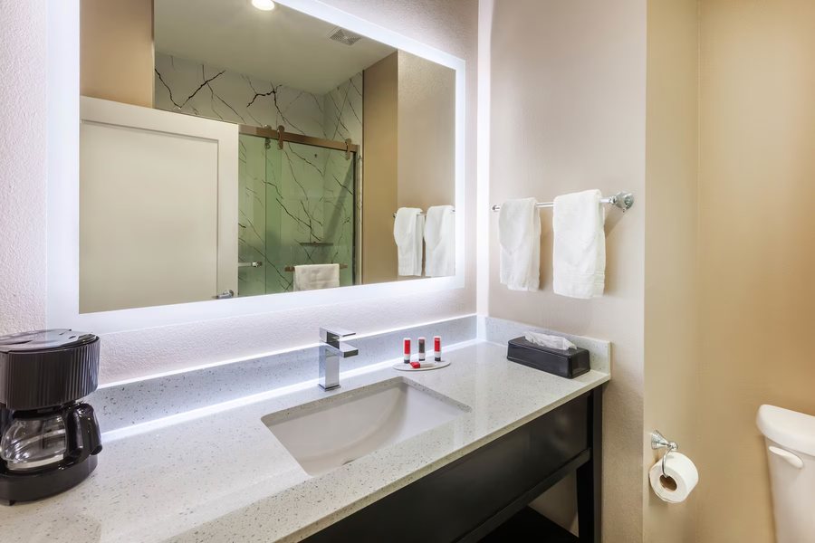 Super 8 by Wyndham Houston North I 45 — Bathroom