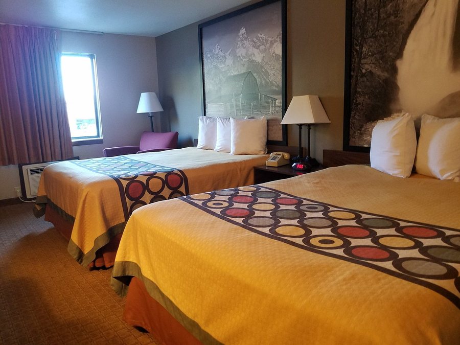 Super 8 By Wyndham Jackson Hole — Guest room