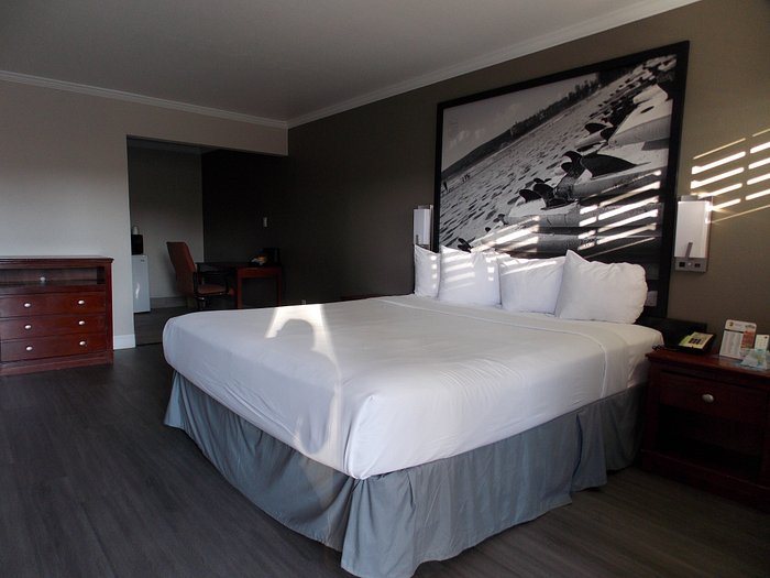 Super 8 by Wyndham Santa Cruz Beach Boardwalk East — Guest room