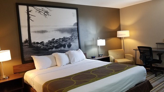 Super 8 by Wyndham St Cloud — Guest room