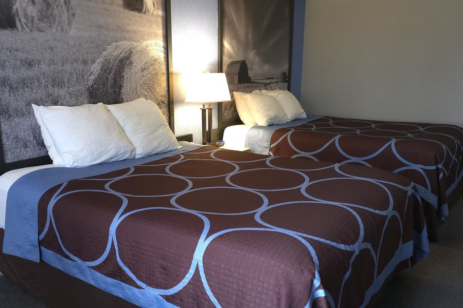 Super 8 by Wyndham Swift Current — Guest room