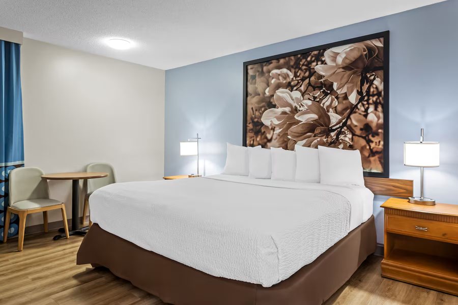 Super 8 by Wyndham Valdosta Mall — Guest room