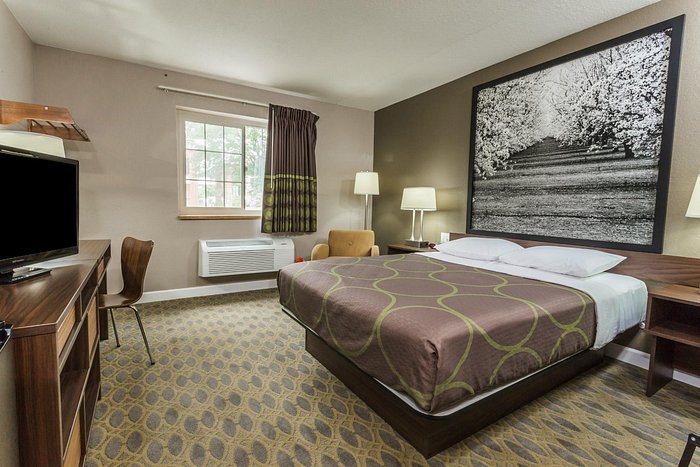Super 8 by Wyndham Willows — Guest room