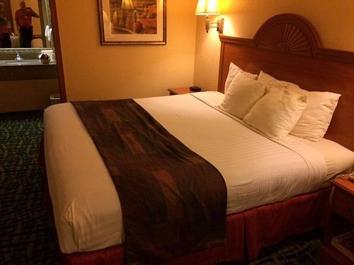 SureStay By Best Western Kansas City Country Inn North — Guest room