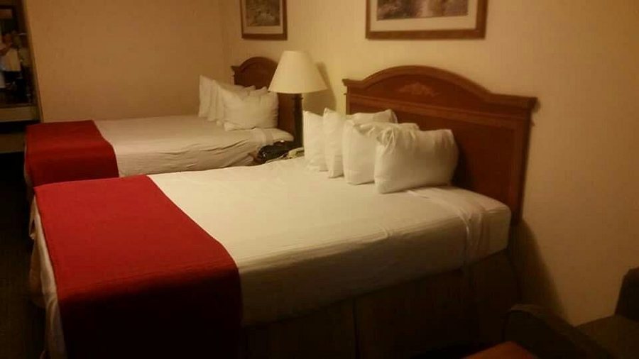 SureStay By Best Western Leesville — Guest room
